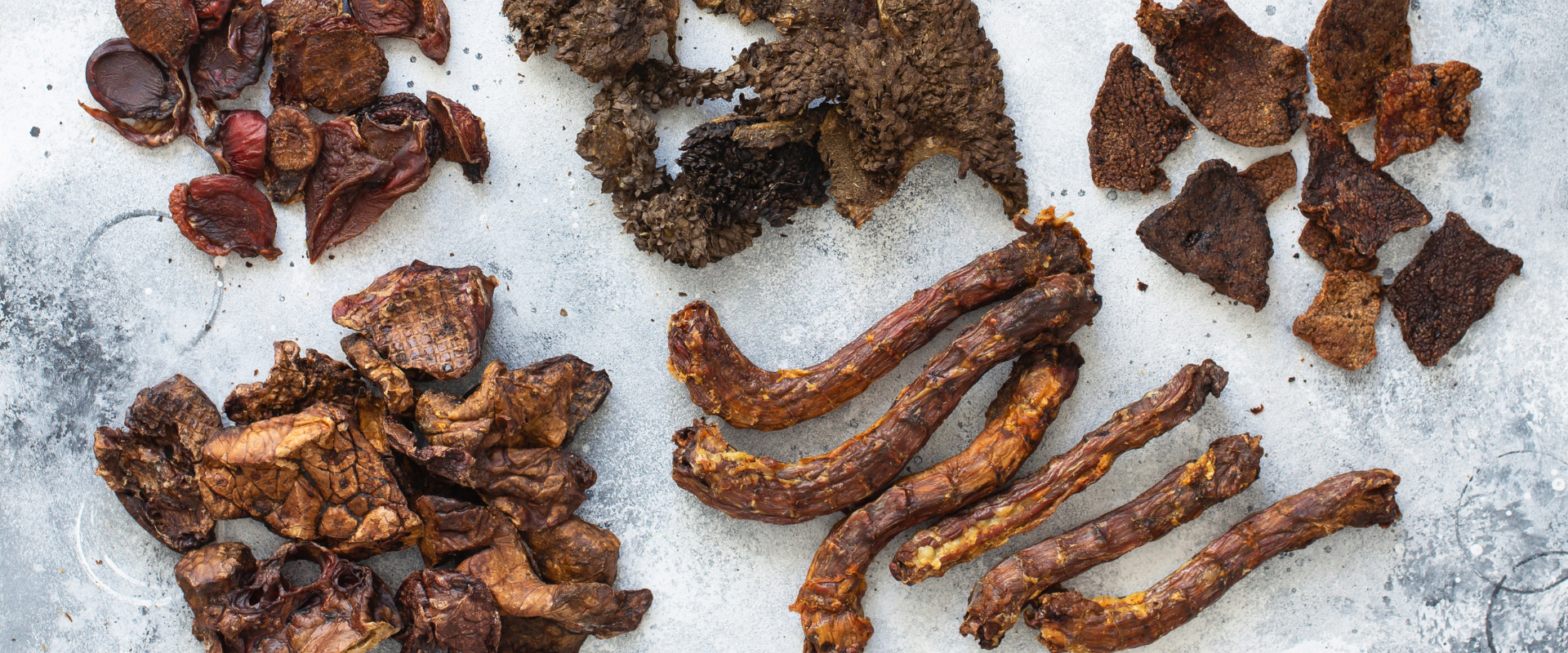 Signs of Poor Digestion in Dogs & How Natural Food Can Help