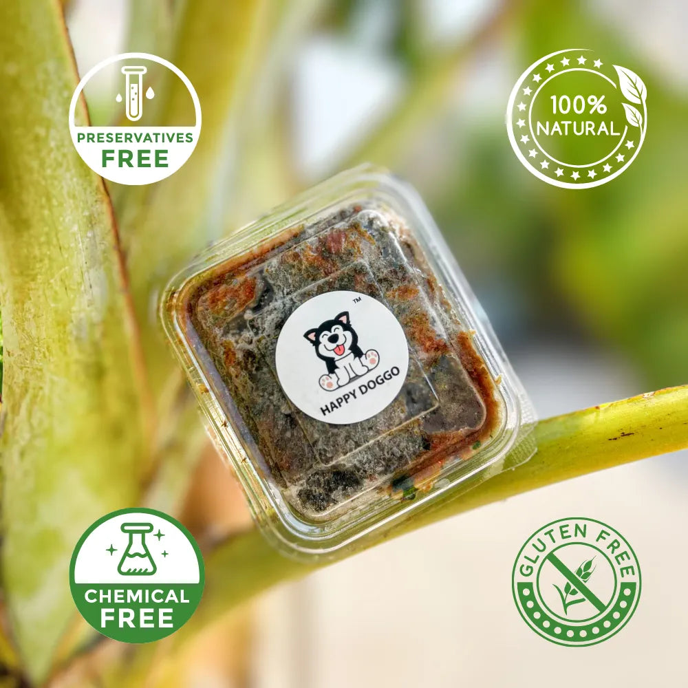 Buff Recipe RAW Food