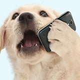 Book a Boarding Slot Now