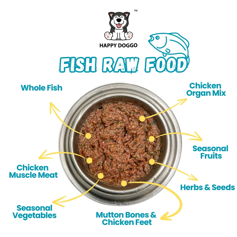 Fish Recipe RAW Food