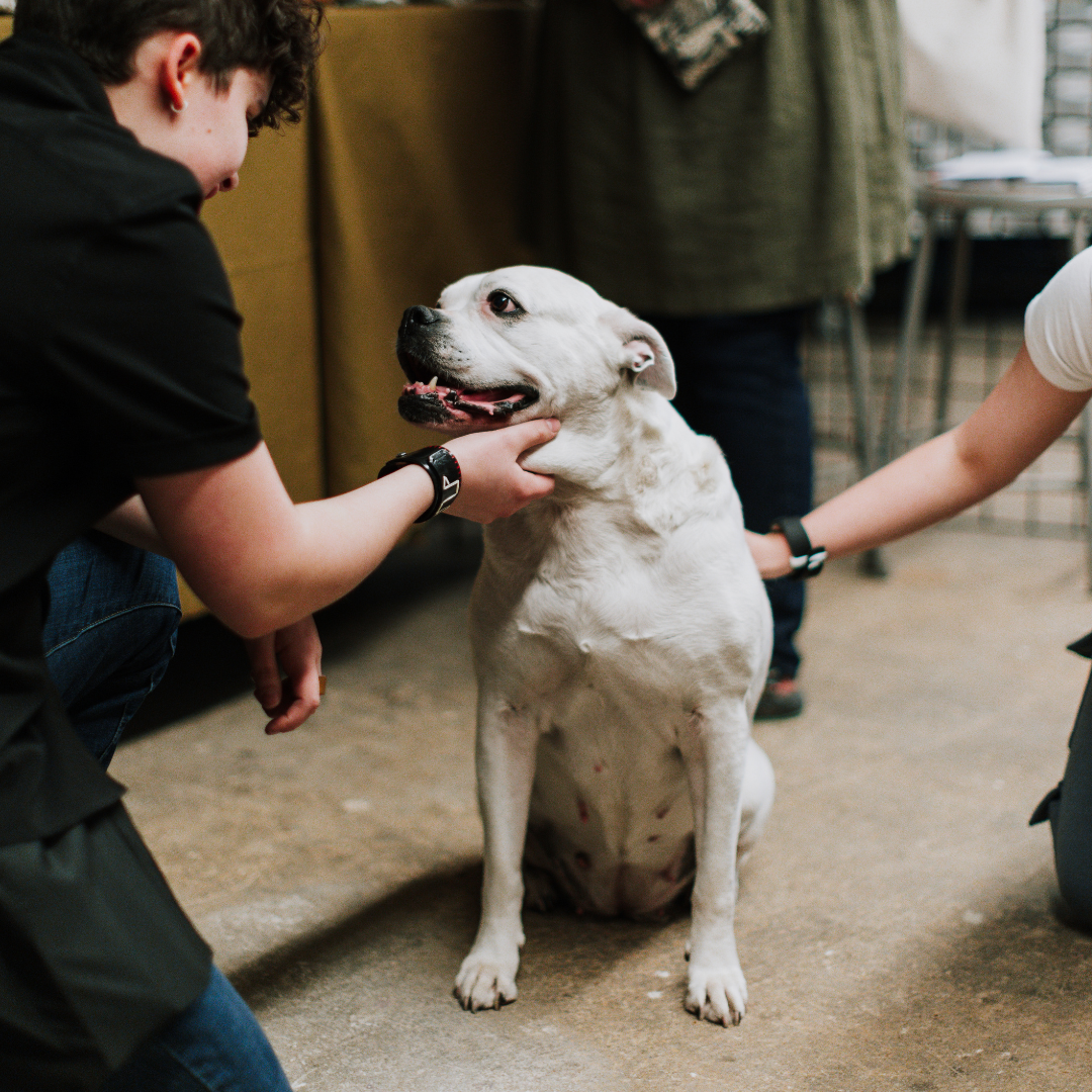 Healing Consultation